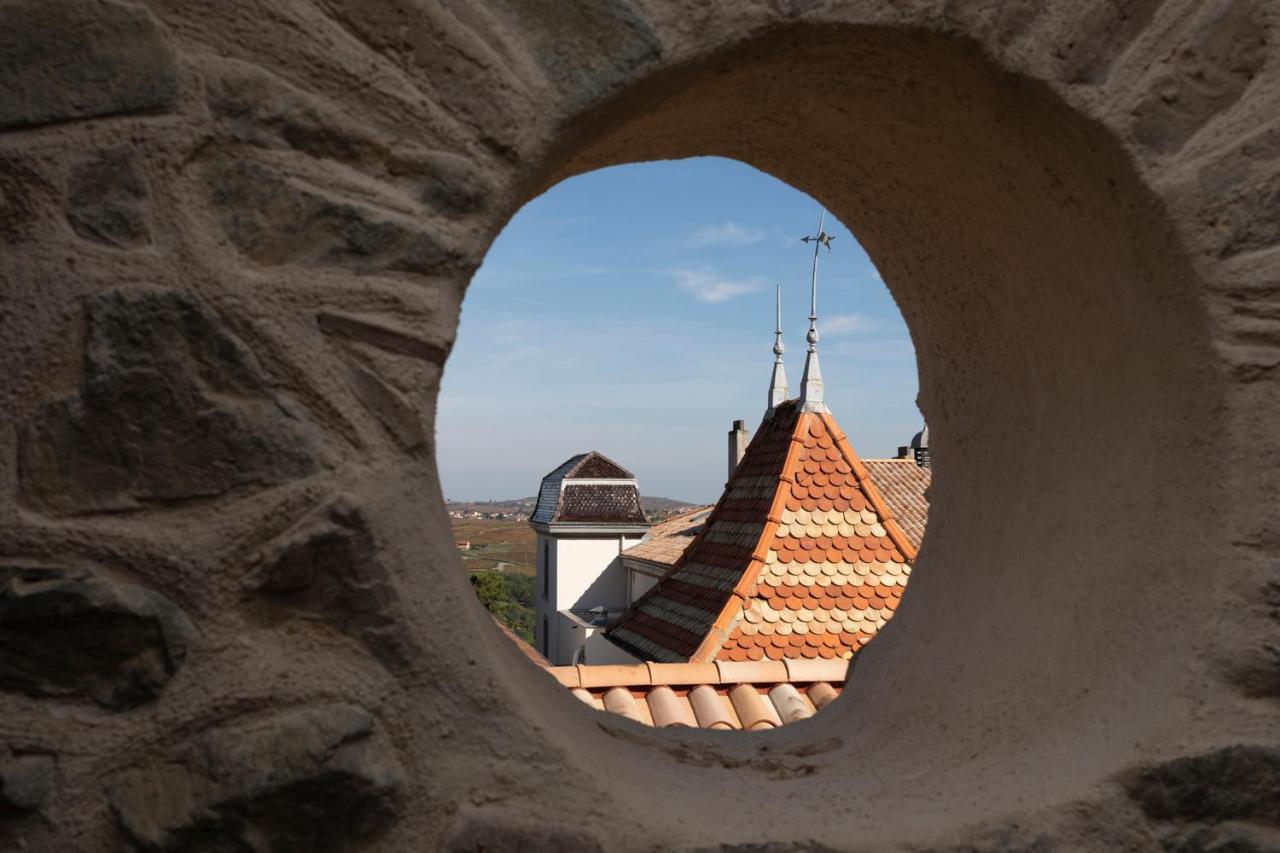Chateau Du Souzy Quincié-en-Beaujolais Esterno foto